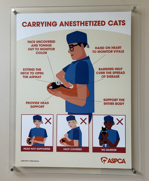 Standoff Signs photo 3