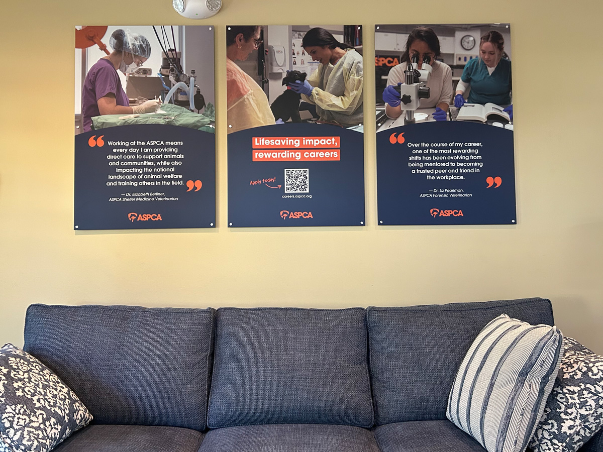 Three ASPCA stand-off signs with veterinary career photographs and information installed in Asheville North Carolina